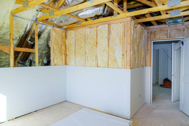 Best Eco-Friendly or Green Insulation Solutions  in Batavia, IL