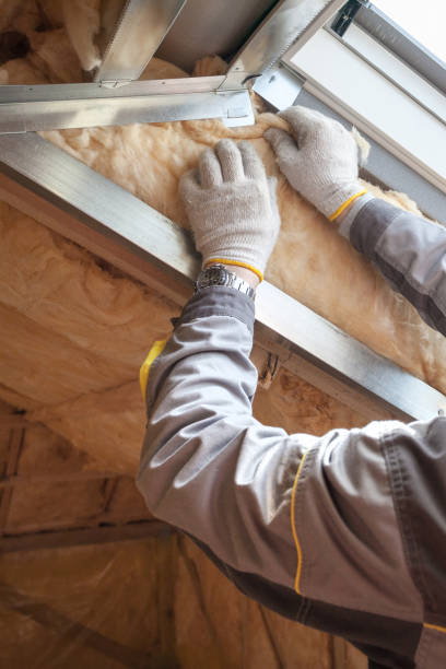 Best Commercial Insulation Services  in Batavia, IL